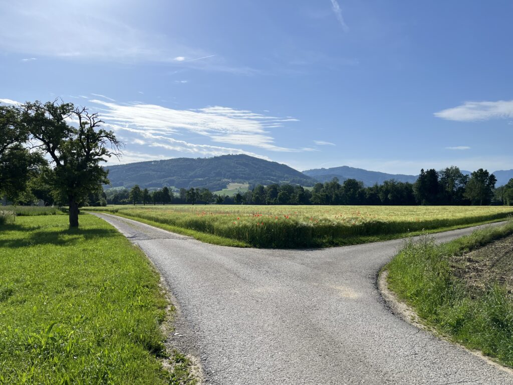 IMG_3248 Ein Mentaltraining Weg der sich teilt in der Natur.