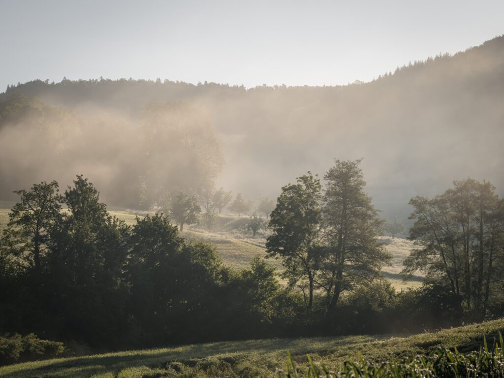 Scenic rural landscape with mist, trees, and hills in soft morning light.