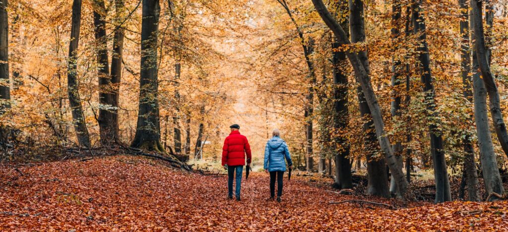 Couple in colorful jackets walking through a scenic autumn forest filled with fallen leaves.